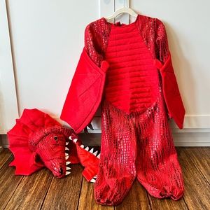 Pottery Barn Kids Dragon Costume